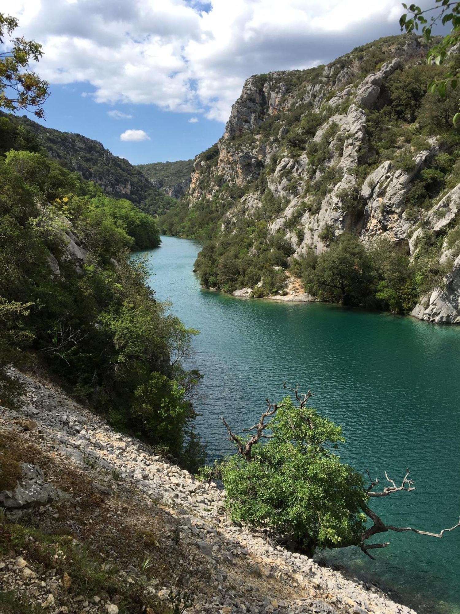 Les Cedres *